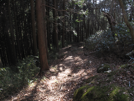20180116hike (275)